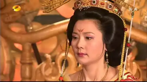 何赛飞参演电视剧作品19972010
