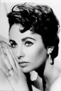 伊丽莎白泰勒堆糖,美好生活研究所