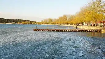 新浪新闻手机新浪网