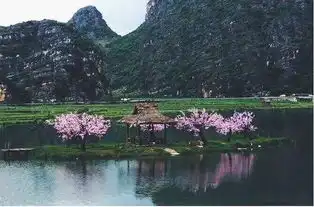 云南九日行九龙瀑布群罗平金鸡峰丛普者黑坝美元阳哈尼梯田风景区建水古镇滇池

