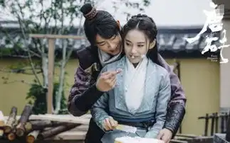 评分最高的5部网剧唐砖倒数,将夜第四,第一无人反驳
