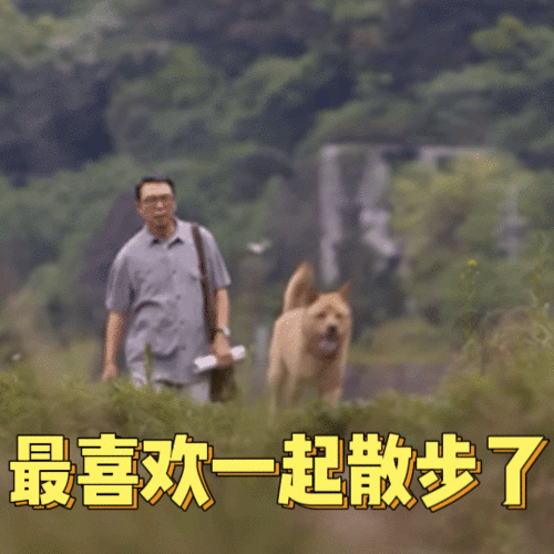 专访导演徐昂忠犬八公是一块映照人心的试金石
