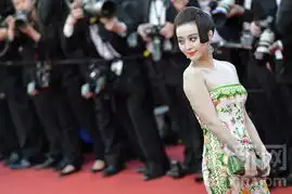 范冰冰闪亮戛纳电影节开幕式红毯
