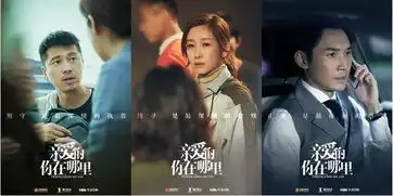 亲爱的,你在哪里秦海璐王雷婚姻触礁,寻子找回爱
