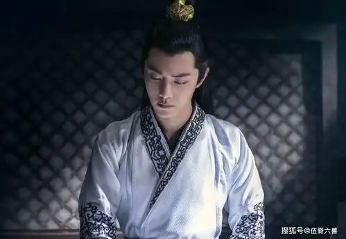 网传肖战不再演庆余年,言冰云或将由琉璃昊辰接演
