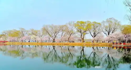 把握机会就是占据天然优势寻找最佳时机,这是驾驭人生的高超艺术
