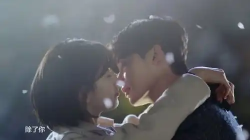 主题超新颖的电视剧系列
