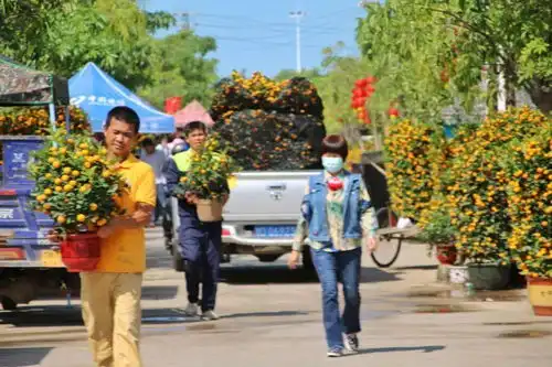 组图春节气氛组上线快来看看东方的年味
