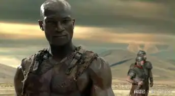 斯巴达克斯竞技场之神,一部潇洒哥的传奇
