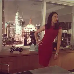 金装律师第二季剧照