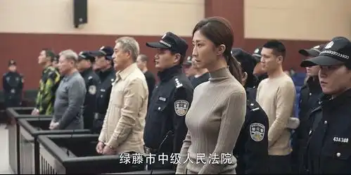 扫黑风暴郑毅红曾给高明远督导组资料,却没后续收买了裴伟