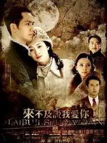 来不及说我爱你评论