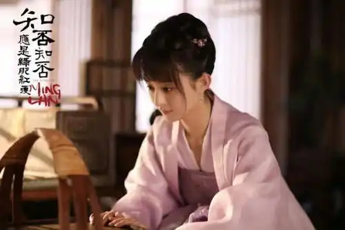 赵丽颖太优秀了全民大爆剧知否在美国播出,播放量已超117亿