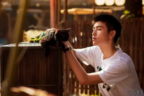 不出道好亏妖猫传晒陈凯歌陈红儿子近照
