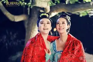 曝范冰冰六月大婚武媚娘浙江发布会遭取消