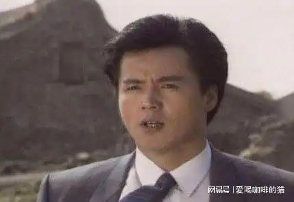 琼瑶小生林瑞阳,不只是张庭老公
