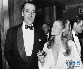 指环王白袍巫师去世银幕形象回顾