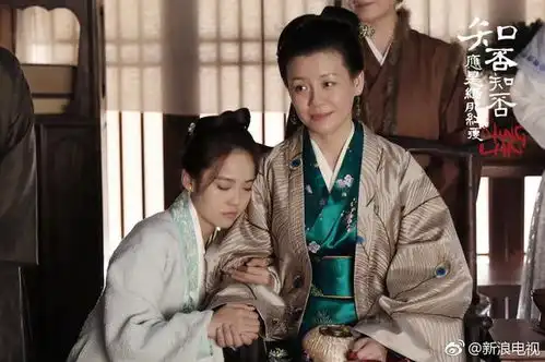 知否大娘子最爱看搞笑视频期待和胡军再合作
