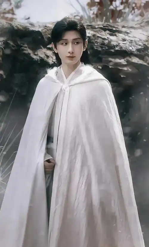 莲花楼还是成毅比肖战更适合
