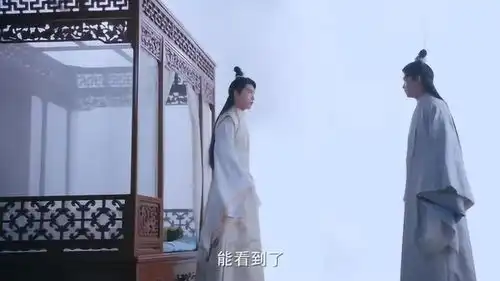 双世宠妃2墨连城放下心中不满救流觞,看到流觞的记忆非常心痛
