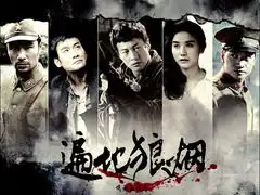 遍地狼烟经典台词
