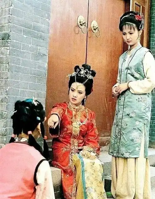 红楼专题红楼梦里的打戏
