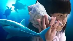 美国华人家庭小孩生日派对拆箱神秘礼物生日礼物做了一个美人鱼的大蛋糕happy
