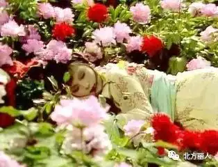 那些藏在史湘云身上的红楼秘密
