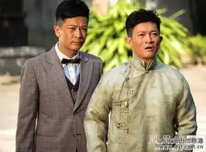 勇敢的心男主气虚撑不起传奇英雄