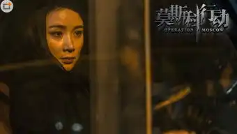 莫斯科行动剧情介绍小说原著中赵莹原型是谁
