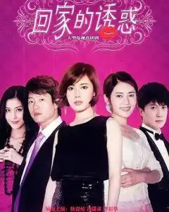 回家的诱惑2011年李彩桦主演电视剧搜狗百科