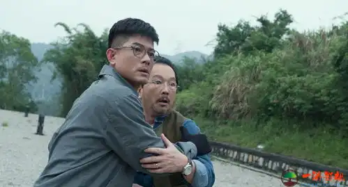 无双无间道,绿叶衬红花,追忆香港电影黄金配角吴孟达廖启智
