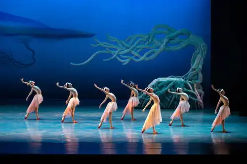 十年了,舞剧朱鹮为何常演不衰
