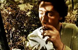 新西兰华人绝命毒师一屋子种的全是大麻法官科研精神可嘉,不用坐牢了
