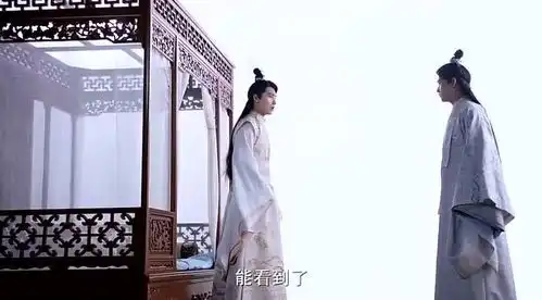 两个八王爷碰面了,内心还有共鸣,关于穿越女的一切不作解释