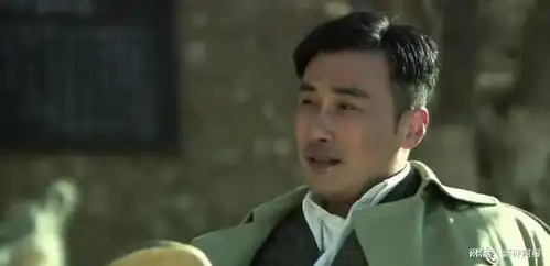 十部高分国产谍战剧风筝排第七,第一名豆瓣评分9.5