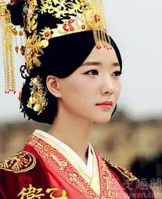 大汉贤后卫子夫的主要内容
