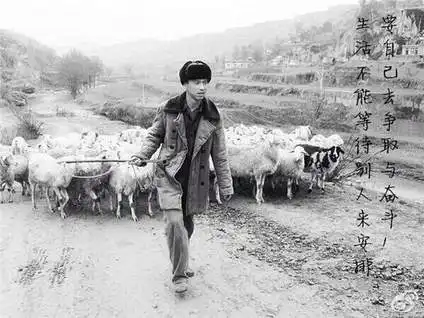 我是内蒙古的我联考没过差了两分目前正在补习文化课我只能走普文了吗还有没