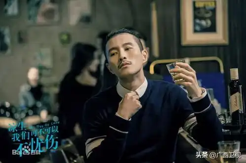 梦回中的八阿哥,重回广西
