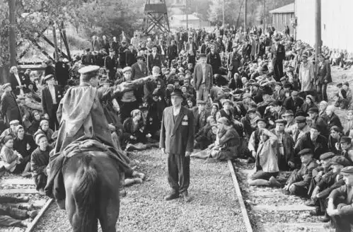 错过这些书,就是错过历史的富矿
