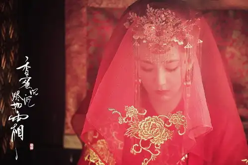 快穿之请让我好好结一次婚
