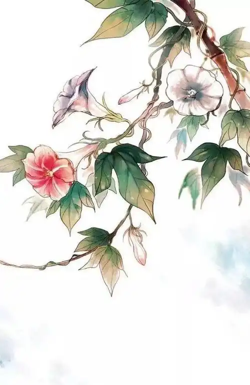 人间绝句,美到心醉杏花疏影里,吹笛到天明
