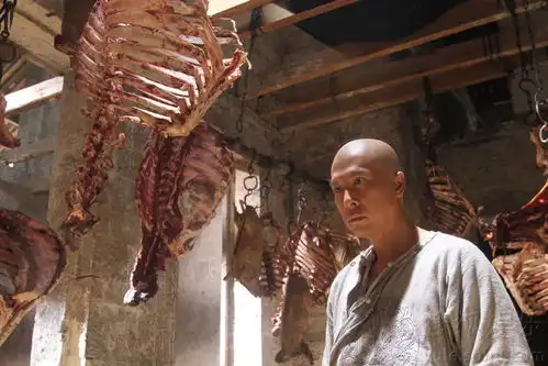 武侠双雄决战屠宰场金城武收尸令人作呕