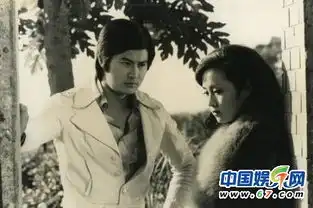 陈德容版紫菱艳压林青霞追忆隐退琼瑶女星