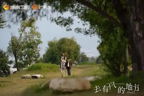 去有风的地方城里人的闲适该如何兼容乡村人的焦灼