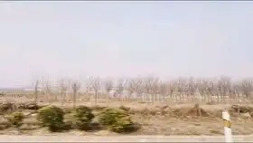 等到烟暖雨收壁纸手机版
