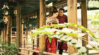 妖猫传六大看点邀你共赴奇幻盛唐娱乐bbrtv北部湾在线