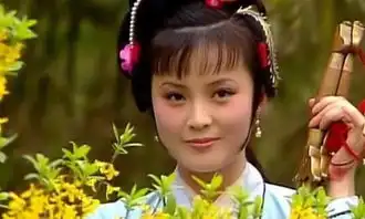 秦可卿的身世之谜,她并不是公主,而且出身应该很卑微
