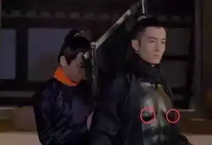 最近大火的太子妃升职记有毒,狗血又魔性
