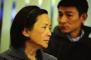 刘青云获双影帝提名组图
